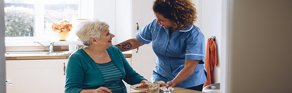 Health, Public Services and Care