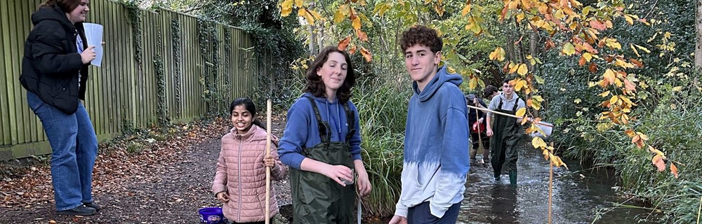 Science and Mathematics