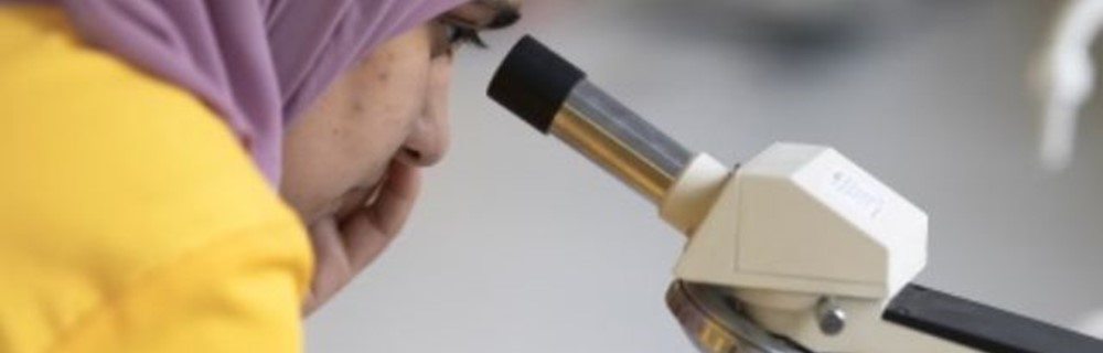 Science and Mathematics