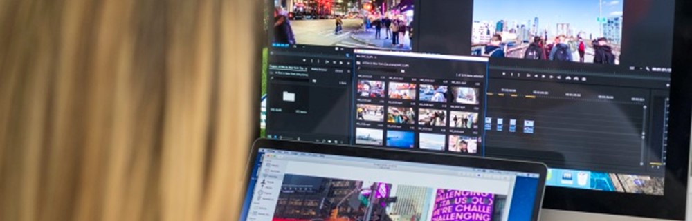Arts, Media and Publishing