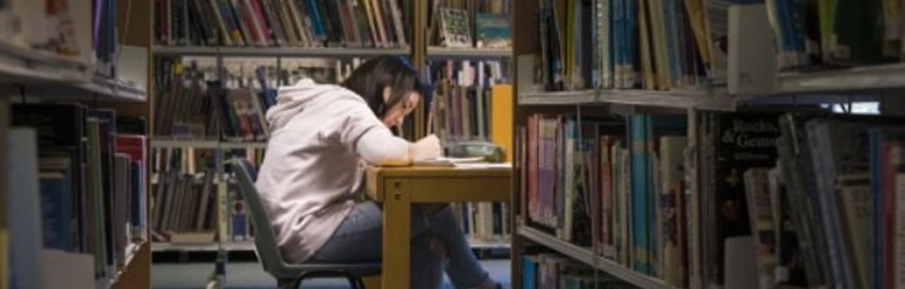 Languages, Literature and Culture