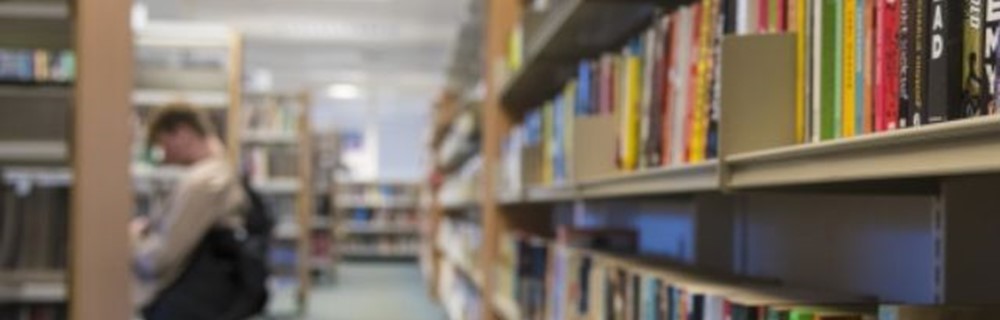 Languages, Literature and Culture