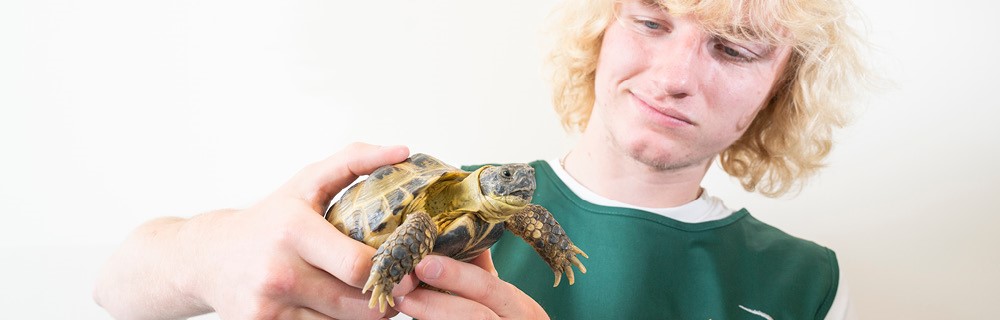 Agriculture, Horticulture and Animal Care