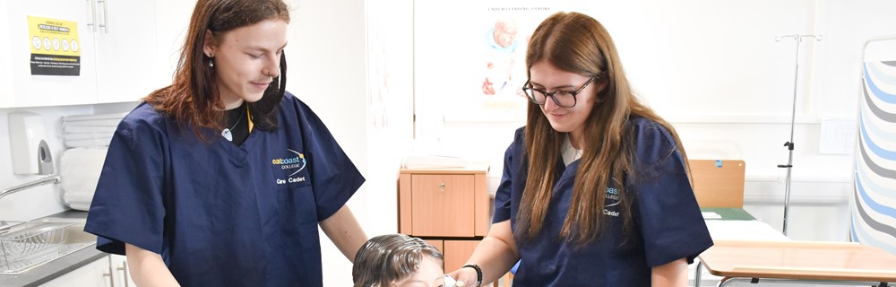 Health, Public Services and Care